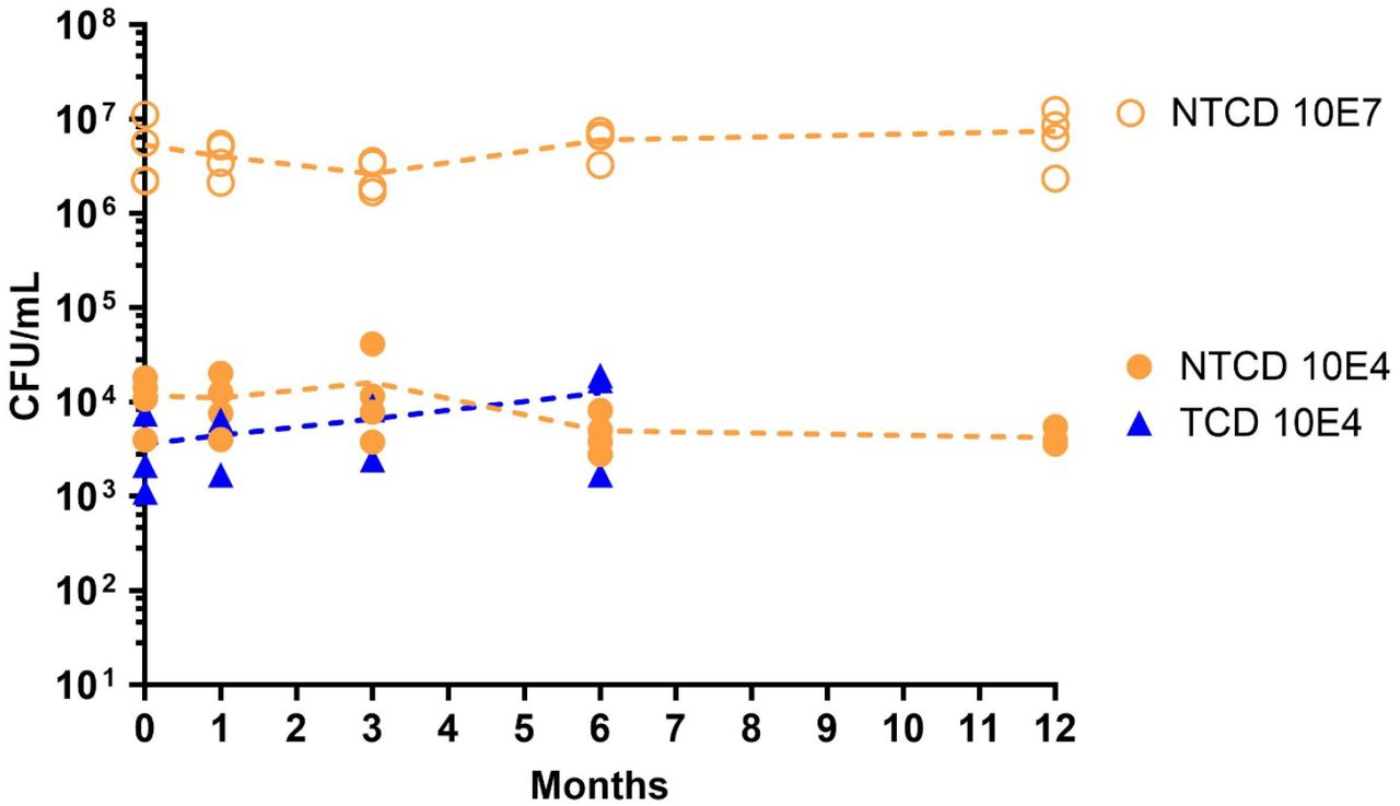 Spore yield stability of multiple batches of active product (capsules) over time (NTCD and TCD). The NTCD strain used is L-NTCD03 and the TCD strain used is L-TCD-01.TCD stability testing is ongoing. Abbreviations: NTCD= non-toxigenic C. difficile, TCD= toxigenic C. difficile, CFU/mL= colony forming unit per milliliter.
