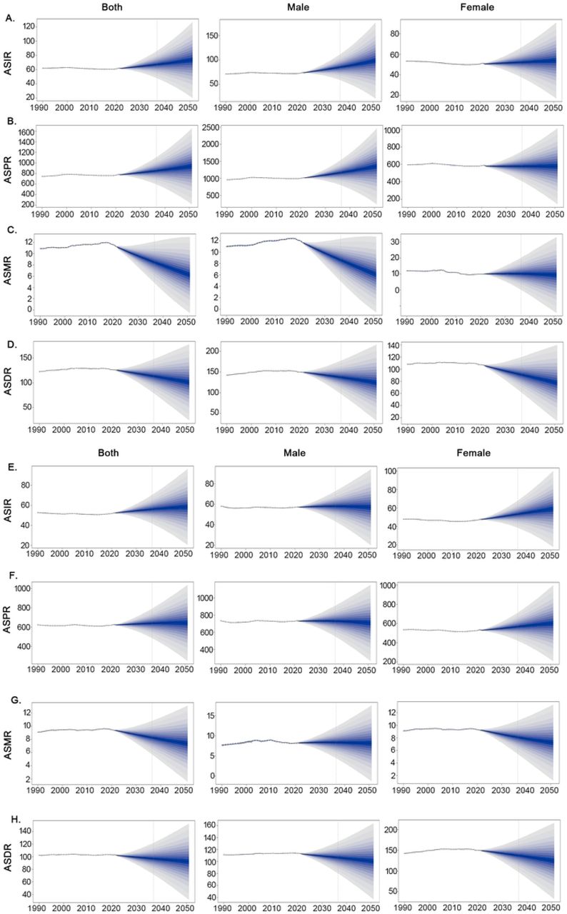 BAPC of AF/AFL in European Region and Global. Predictions ofAF/AFL trends was projected by BAPC-INLA model. The projected ASRs of incidence (A), prevalence (B), death (C), and DALYs (D) for AF/AFL by gender from in European Region from 1990 to 2050. The projected ASRs of incidence (E), prevalence (F), death (G), and DALYs (H) for AF/AFL by gender from in Global form 1990 to 2050. The dots represent the observed values, and the fan shape represent the predictive distribution between the 2.5 and 97.5 % quantiles. The solid line represents the predicted ASRs during 2020–2050.