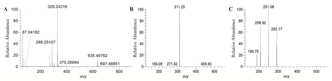 (A) High-resolution MS of Compound 2; (B) Secondary MS of Compound 2; (C) triple MS of Compound 1.