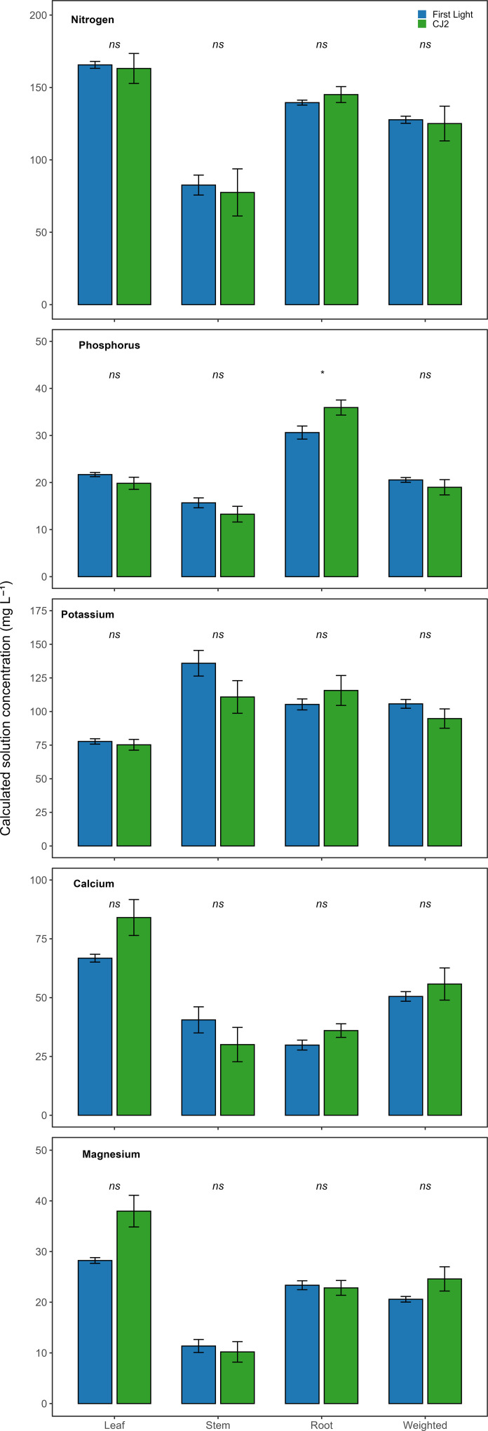 Bar graphs comparing nutrient concentrations (nitrogen, phosphorus, potassium, calcium, magnesium) in plant parts (leaf, stem, root) for “First Light” and “CJ2” treatments. The graphs show similar values with no significant differences indicated (marked as “ns"), except for phosphorus in the weighted category, which shows a notable difference marked by an asterisk. Error bars are present for each measurement.