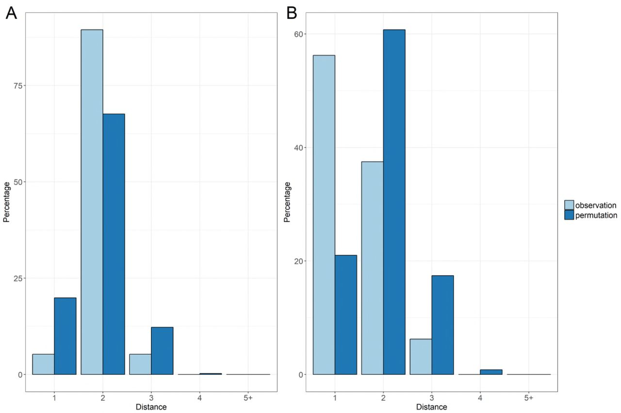 Distribution of distances between acquisition cases and their closest potential infector.Comparison between observed data (light blue) and random permutated data (dark blue). For each incident colonisation case, potential infectors were selected as the closest in the CPI-network of all candidates sharing the same strain as the case in the preceding 4 weeks. (A) ESBL-EC distribution. (B) ESBL-KP distribution.