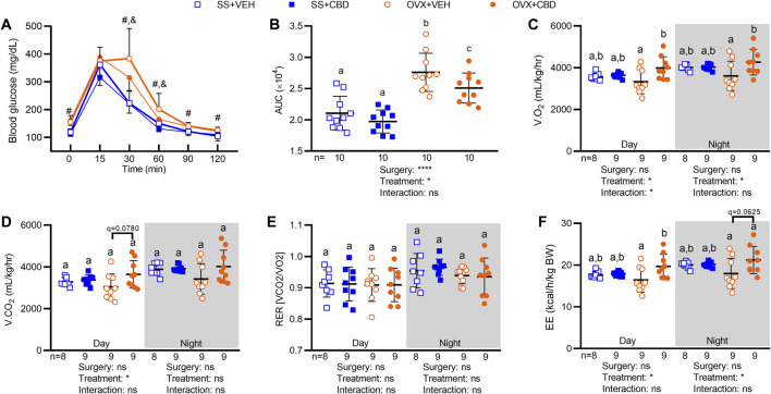 CBD increased oral glucose tolerance, O2 consumption, and energy expenditure in OVX mice. (A) After 9 weeks of CBD or VEH treatment, blood glucose readings were taken at 0, 15, 30, 60, 90 and 120 min after oral glucose challenge (2 mg/kg), n = 10 mice/group. (B) Oral glucose tolerance data in (A) represented as area under the blood glucose curves (AUC). Indirect calorimetry performed between 9 and 10 weeks on 9 mice/group showing (C) volume of oxygen consumed, V.O2, (D) volume of carbon dioxide produced, V.CO2 (E) respiratory exchange ratio, RER, and (F) energy expenditure, EE (as kcals expended per hour normalized to body weight in kg). Data are mean ± SD. The ROUT test was performed to detect outliers. 2-way ANOVA was performed followed by the Benjamini–Hochberg post-hoc test with FDR adjustment, q < 0.05. The 2-way ANOVA results for panel A are summarized in Supplementary Table S1. In panel A, pound (#) sign denotes significant difference between SS groups and OVX groups and ampersand (&) sign denotes significant difference between OVX+VEH and OVX+CBD groups, as determined by Benjamini–Hochberg posthoc test. Two-way ANOVA results are indicated under graphs (B–F). Different letters (a–c) indicate significant differences determined by the Benjamini–Hochberg post-hoc test with FDR-adjusted p values, q < 0.05.