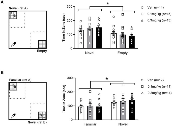Left: Experimental set up of Social Preference test (A) and Social Novelty Test (SNT) (B). The dotted square represents the 40x40cm interaction zones. Right: Average time (+/- SEM) spent exploring the stimulus zones during the social preference test (A) and SNT (B) in LH rats treated with vehicle (white bar), 0.1 mg/kg URB597 (gray bar) and 0.3 mg/kg URB597 (black bar), with individual values displayed as circles, squares and triangles, respectively. (A). All treatment groups preferred the social stimulus (novel rat) to the non-social stimulus (empty cage), while social preference was not affected by URB597 treatment. (B). All treatment groups spent more time exploring a novel unfamiliar, compared with a familiar conspecific, while social novelty preference was not affected by URB597 treatment. Error bars represent +/- SEM. *p < 0.05.