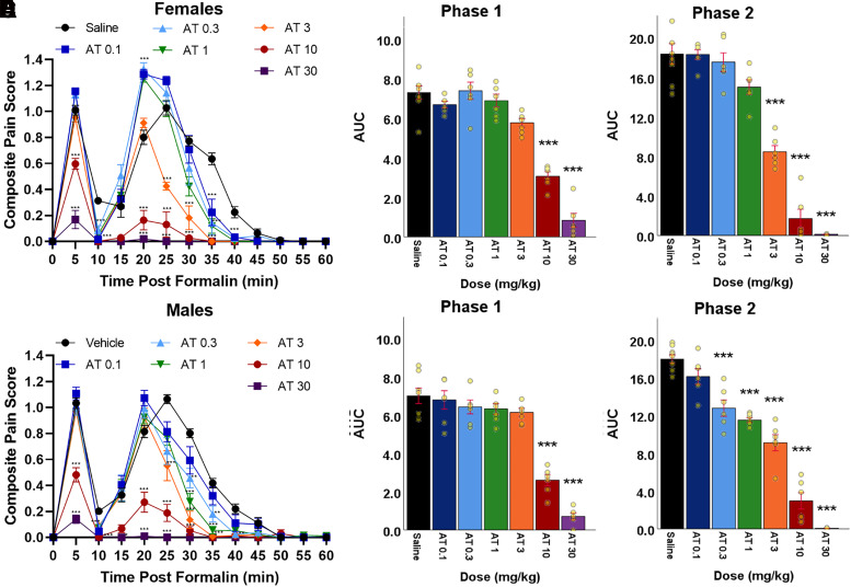 Dose-dependent antinociceptive effects of AT in the formalin test in wild-type mice. AT suppressed formalin-induced pain behavior in a dose-dependent manner in both female (A) and male (B) wild-type mice. In female mice, AT decreased the AUC at 10-30 mg/kg in Phase 1 (C) and at 3–30 mg/kg in Phase 2 (D). In male mice, AT decreased the AUC at 10-30 mg/kg in Phase 1 (E) and at 0.3–30 mg/kg in Phase 2 (F). Data are expressed as mean ± S.E.M. (saline: n = 8 females and n = 8 males; AT 0.1 mg/kg, 0.3 mg/kg, 1 mg/kg, 3 mg/kg, 10 mg/kg, and 30 mg/kg: n = 6 females and n = 6 males). (A) Time post formalin (min) versus CPS in female wild-type mice. (B) Time post formalin (min) versus CPS in male wild-type mice. (C) Compound versus AUC during Phase 1 in female wild-type mice. (D) Compound versus AUC during Phase 2 in female wild-type mice. (E) Compound versus AUC during Phase 1 in male wild-type mice. (F) Compound versus AUC during Phase 2 in male wild-type mice. Repeated measure one-way ANOVA with Bonferroni post-hoc used to calculate significance for (A) and (B). One-way ANOVA with Bonferroni post-hoc used to calculate significance for (C), (D), (E), and (F). Relative to vehicle: *P < 0.05, **P < 0.01, ***P < 0.001.