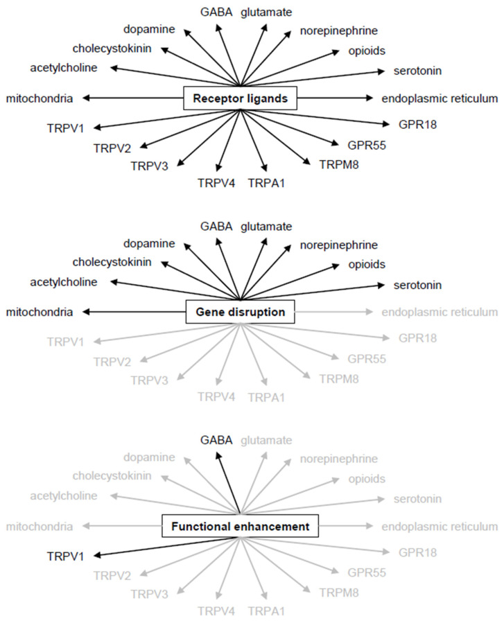 Target selectivity of the main research approaches. (Upper panel) In theory, cannabinoid receptor ligands activate all mechanisms that are controlled by cannabinoids. Practically, however, ligands may bind to a subgroup of the target molecules only, due to the ligand specificity of mechanisms. Nevertheless, each ligand activates a multitude of mechanisms, even if not all of them. (Middle panel) The disruption of cannabinoid receptor genes eliminates responses mediated by the receptors but allows effects mediated by other mechanisms. (Lower panel) Functional enhancers (inhibitors of degrading enzymes and of transport proteins) affect only those cannabinoid functions that are activated by the situation. This reduces the number of mechanisms affected. For details see text. Black, mechanism activated; grey, mechanism not affected.
