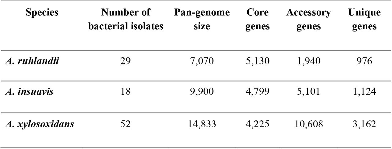 Pan-genome size, number of core, accessory and unique genes for isolates from each Achromobacter species.