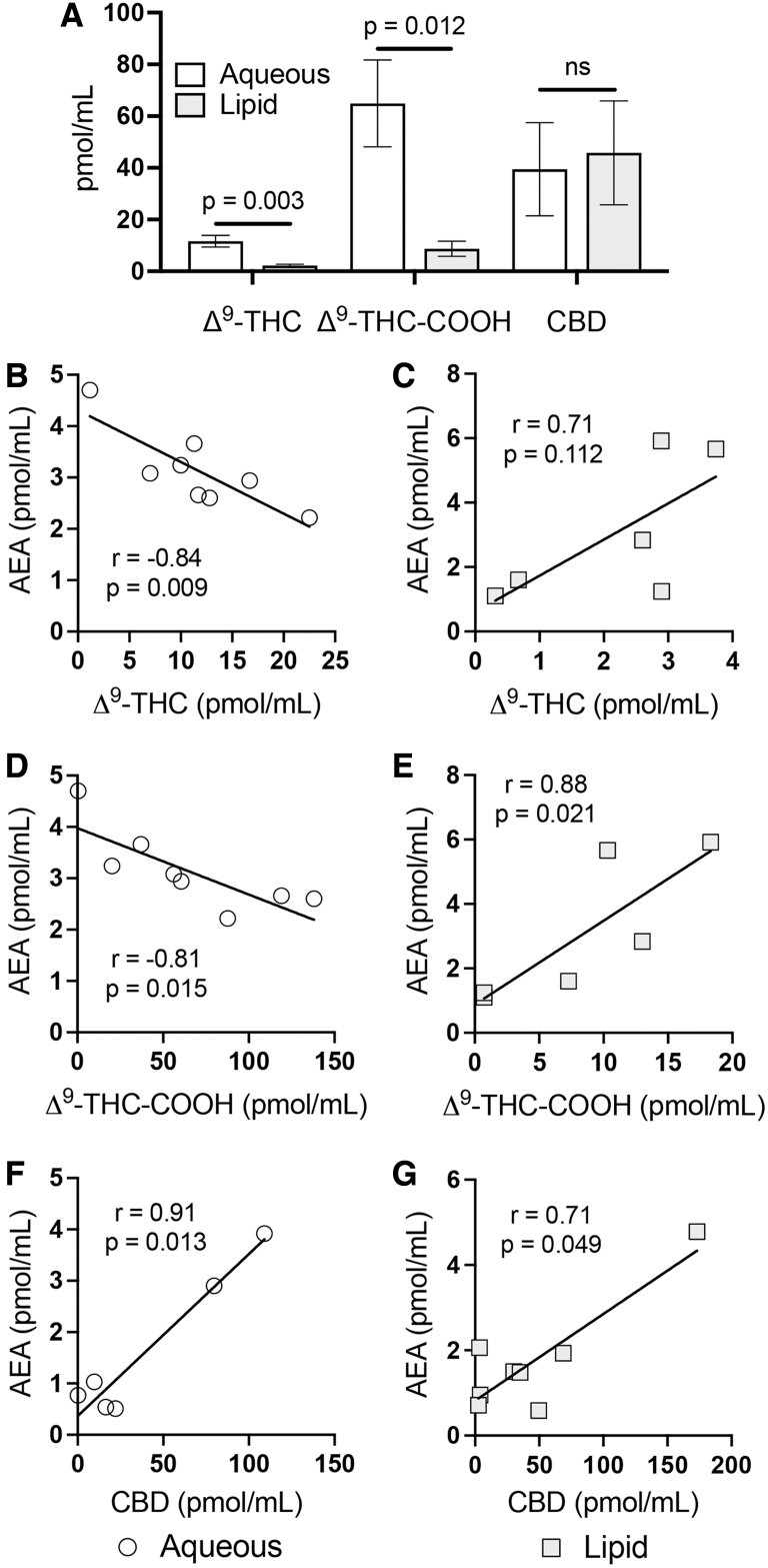 Effects on AEA in serum following Δ9-THC and CBD i.p. administration. (A) Concentrations of Δ9-THC, Δ9-THC-COOH, and CBD in serum 120 min after i.p. injection (5 mg/kg Δ9-THC; 12 mg/kg CBD). Results show mean and standard error for different delivery solvents (aqueous and lipid). A statistically significant difference in Δ9-THC (p=0.003) and Δ9-THC-COOH (p=0.012) between aqueous and lipid solvents was identified by unpaired t-tests. (B–G) display correlations for AEA with (B, C) Δ9-THC, (D, E) Δ9-THC-COOH, and (F, G) CBD when either (B, D, F) aqueous or lipid-based (C, E, G) solvent formulations were used. A line of best fit (linear regression) is shown. Correlations were determined by Pearson analysis at a confidence interval of 95%. The coefficient of correlation (r) and p-values are given. i.p., intraperitoneal; ns, not significant.