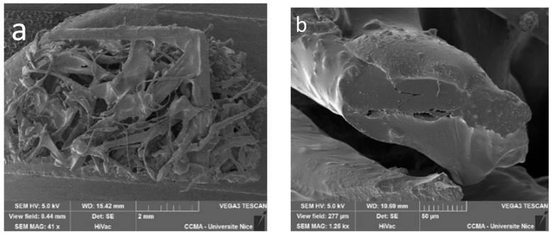50%Hu/30%Cap/20%ELO and hemp 1300 g/m2 composites: (a) general look of the composite at a broken point; (b) single hemp fiber covered in resin; (c–e) single hemp fiber covered by the resin in three successive magnifications.