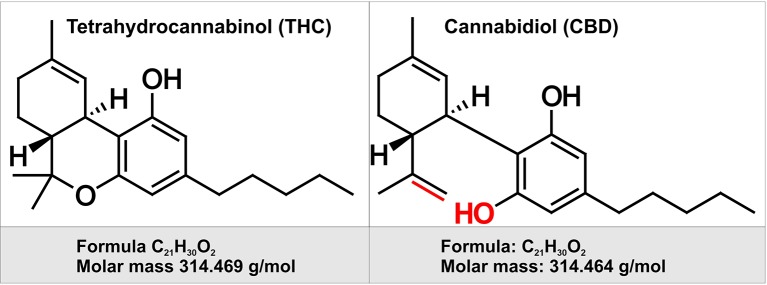 Chemical structure of two of the major cannabinoids contained in Marijuana. Depicted on the left is the chemical structure of tetrahydrocannabinol (THC). THC is the principal psychoactive constituent of cannabis. THC acts as a partial agonist at the cannabinoid receptor CB1 (primarily located in the brain and spinal cord as well as CB2 receptor expressed in cells of the immune system. On the right is depicted the chemical structure of cannabidiol (CBD). By contract with THC, CBD does not have any psychotropic effects, but appears to have some have anti-anxiety and anti-psychotic properties. CBD has a lower affinity for both CB1 and CB2 receptor when compared to THC. Highlighted in red are the chemical structure differences between CBD and THC.
