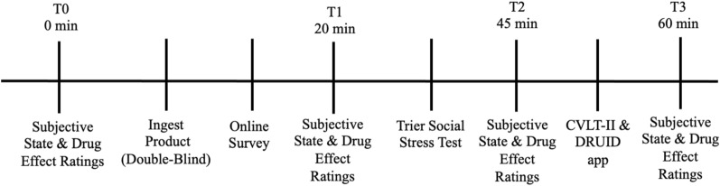 Overview of procedure for each testing session.