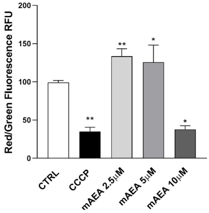 The polarization state of mitochondrial membrane was assessed after the cells were exposed to mAEA, at different doses (2.5, 5.0 and 10 μM) for 24 h, or to the oxidative phosphorylation inhibitor CCCP (50 μM) used as a positive control for (Δψm) decrease. Values are expressed as ratio of red (~590 nm)/ green (~529 nm) fluorescent intensity. Ratio are presented as mean ± SEM of three independent experiments (n = 3). [* p < 0.05, ** p < 0.01 vs. control cells (CTRL)].