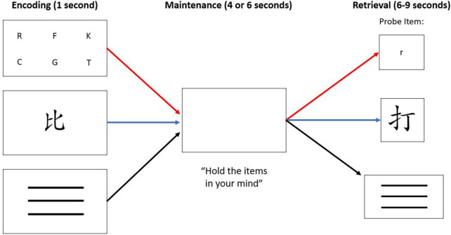 The WM paradigm consisted of three conditions: verbal stimuli (letters), non-verbal stimuli (Chinese character), or “control condition” stimuli that was represented with three horizontal lines. Each trial, regardless of condition, consisted of three phases: encoding, maintenance, and retrieval. The red path depicts the verbal condition, the blue path depicts the non-verbal condition, and the black path depicts the control condition. Note that a match-to-target is depicted in the verbal condition. A non-match-to-target is depicted in the non-verbal condition. All control condition trials were a match-to-target, minimizing the WM load demand in that condition.