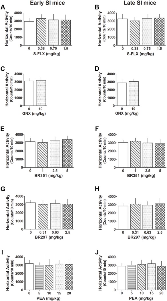 Effect of different drug treatments on locomotor activity both in late and early adolescent SI mice. S-FLX (A,B), GNX (C,D), BR351 (E,F), BR297 (G,H), and PEA (I,J) were administered to early (left side) and late (right side) adolescent SI mice 60 min before the exposure to the locomotor activity test. All drugs at the dose tested failed to alter locomotion patterns of SI mice. Data represent the mean ± SEM of 7–18 mice.
