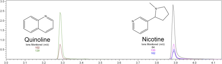 GC-MS chromatogram produced from nicotine standard (S6–500 μg/ml), with structures and ions monitored for nicotine and quinoline.