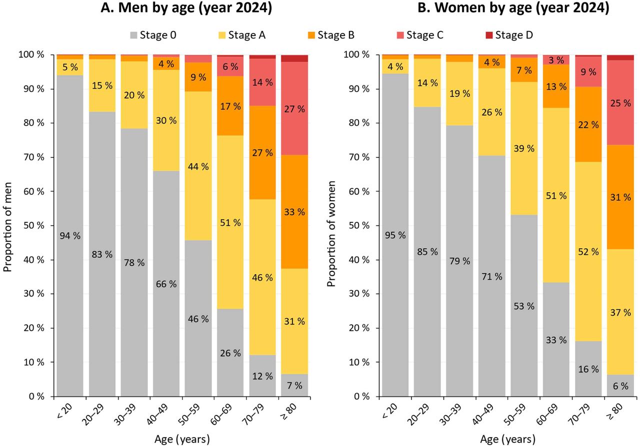 Distribution of heart failure stages in 2024 by age and sex