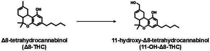 Schematic illustration of the enzymatic 11’-hydroxylation of Δ8-tetrahydrocannabinol (Δ8-THC) catalyzed by CYP2C9 and CYP2C19, leading to the formation of 11-hydroxy-Δ8-THC (11-OH-Δ8-THC).