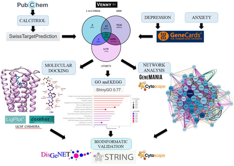 Schematic workflow showing the approach of this study. Genes modulated by calcitriol and genes related to depression and anxiety were searched in databases (Swiss Target Prediction and GeneCards). Subsequently, genes overlapping calcitriol, depression, and anxiety; genes overlapping calcitriol and depression; and genes overlapping calcitriol and anxiety were analyzed by Venn diagram, and then a pharmacological network using Genemania and Cytoscape software was built. Subsequently, gene ontology and KEGG analyses were carried out. Finally, molecular docking and interaction analyses of calcitriol with proteins were carried out using the Chimera, Dockthor, and LigPlot programs. To further validate the calcitriol targets, a STRING-DisGeNET network was constructed.