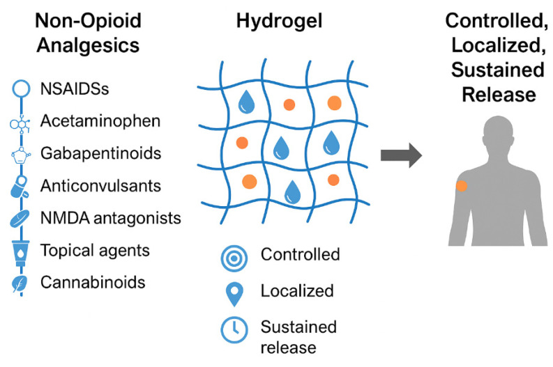 Schematic illustration of hydrogel-based delivery systems for non-opioid analgesics.