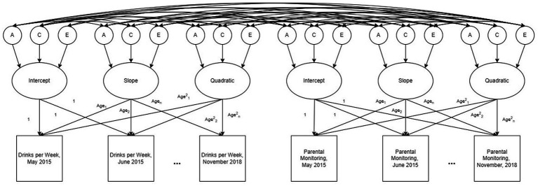 An example path diagram representing the ACE decomposed multivariate latent growth model for drinks per week and parental monitoring. The model estimates random effects, including intercepts, age slopes, and age quadratic terms, for each participant as well as the additive genetic (A), shared environmental (C), and non-shared environmental (E) contributions to these random effects. Genetic correlations (rg), shared environmental correlations (rc), and nonshared environmental correlations (re) between random effects terms are represented by the paths between the A, C, and E terms. Additional bivariate models were run comparing drinks per week, cannabis use per week, perceived parental monitoring, time spent at school, and time spent at home.