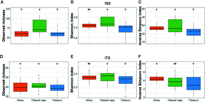 Alpha diversity of bacterial and fungal seed communities. It was estimated as the Observed richness (A, D), Simpson index (B, E), and Inverse Shannon index (C, F) for both 16S (A–C) and ITS (D–F). The alpha diversity was measured for each biological replicate and is displayed per host of sampling. Different lowercase letters represent statistically different groups (Anova with post-hoc Tukey, p-value < 0.05).