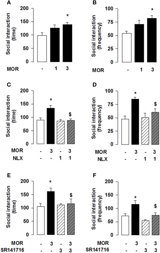 Morphine stimulates social play in adolescent mice via OR and CB1R activation. The OR agonist morphine (3 mg/kg, s.c.) increased the total time (A) and frequency (B) of social interaction. Pre-treatment with the OR antagonist naloxone (1 mg/kg, s.c.) prevented the social interaction-enhancing effects of systemic morphine (C,D). Likewise, pre-treatment with the CB1R antagonist SR141716 (3 mg/kg, i.p.) antagonized morphine's effects on social interaction (E,F). Data represent mean ± S.E.M. time (A,C,E) and frequency (B,D,F) of social interaction. *p < 0.05 vs. vehicle; $p < 0.05 vs. vehicle/morphine (Student-Newman-Keuls post-hoc test). N = 7–10 per treatment group.