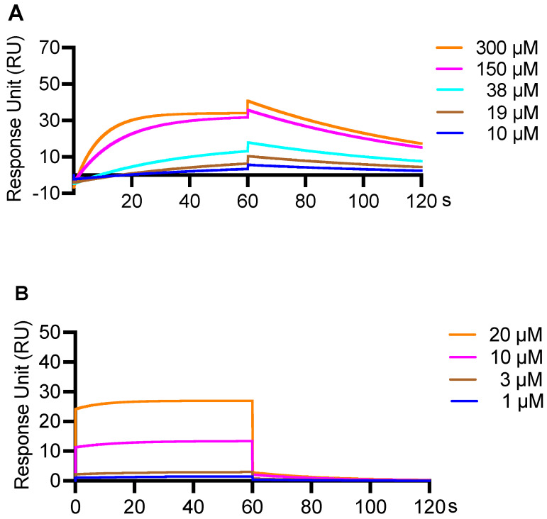 SPR binding of CFA and Ro 61-8048 to KMO. The sensorgrams display the binding reaction over time for (A) CFA (10, 19, 38, 150, and 300 μM) and (B) Ro 61-8048 (1, 3, 10, and 20 μM).