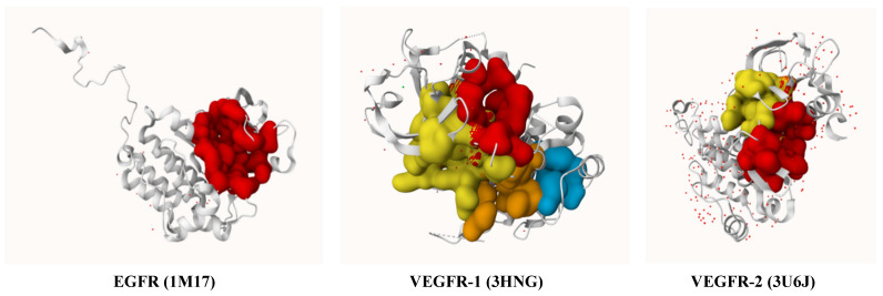 3D visualization of the active site pockets in EGFR (1M17), VEGFR-1 (3HNG), and VEGFR-2 (3U6J) as predicted by PrankWeb.