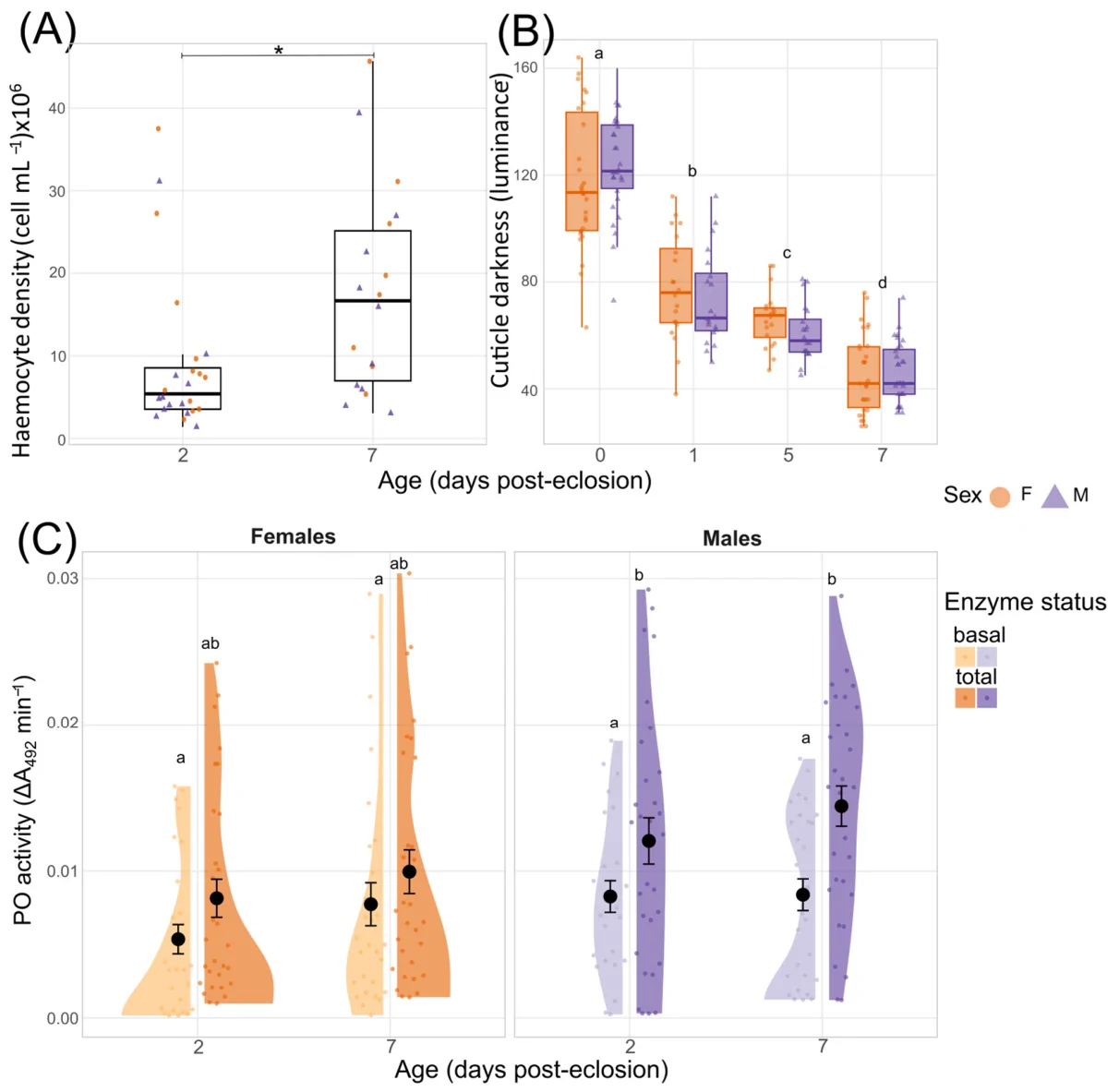 Ontogenetic trajectories of cellular immunity, enzymatic cascades, and cuticular melanization in ageing Tenebrio molitor adults. (A) Total Haemocyte Count (THC, cells/mL) from 2 to 7 days post-eclosion. (B) Cuticle tanning progression quantified via structural reflectance (luminance units) at four successive maturation intervals (newly eclosed 0, 1, 5 and 7 days post-eclosion). (C) Phenoloxidase (PO) activity kinetics measured as the maximum reaction velocity (ΔA492/min) comparing basal activated pro-enzymes (lighter shade) with fully activated total (darker shade) PO activity across distinct maturation timepoints (2 and 7 days post-eclosion) in both females and males. Different lowercase letters and asterisks indicate statistically significant differences (p < 0.05).