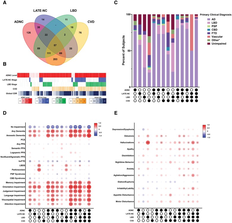 Clinical associations with isolated and combined common neurodegenerative pathologies. (A) Venn diagram demonstrating the degree of overlap between subjects with autopsy-confirmed Alzheimer disease neuropathologic change (ADNC), limbic-predominant age-related TDP-43 encephalopathy neuropathologic change (LATE-NC), Lewy body disease (LBD), and cerebrovascular disease (CVD). (B) Heatmap demonstrating the ADNC level, LATE-NC stage, LBD stage, number of present cerebrovascular variables (infarct, hemorrhage, moderate–severe arteriolosclerosis, and moderate–severe white matter rarefaction), and global Clinical Dementia Rating (CDR) across the cohort with isolated and combined neurodegenerative pathologies. (C) Primary diagnoses in subjects with various combinations of autopsy-confirmed ADNC, LATE-NC, LBD, and CVD. (D) Pairwise correlation between clinical phenotypes and various combinations of autopsy-confirmed neuropathology, calculated using Phi correlation coefficients. (E) Pairwise correlation between psychiatric/behavioral symptoms and various combinations of autopsy-confirmed neuropathology, calculated using Phi correlation coefficients. *P < .05; **P < .01; ***P < .001; ****P < .0001. The primary diagnosis Other* consists of additional underlying causes for cognitive impairment, detailed in Table S2. Abbreviations: bvFTD, behavioral variant frontotemporal dementia; PCA, posterior cortical atrophy; PPA, primary progressive aphasia.