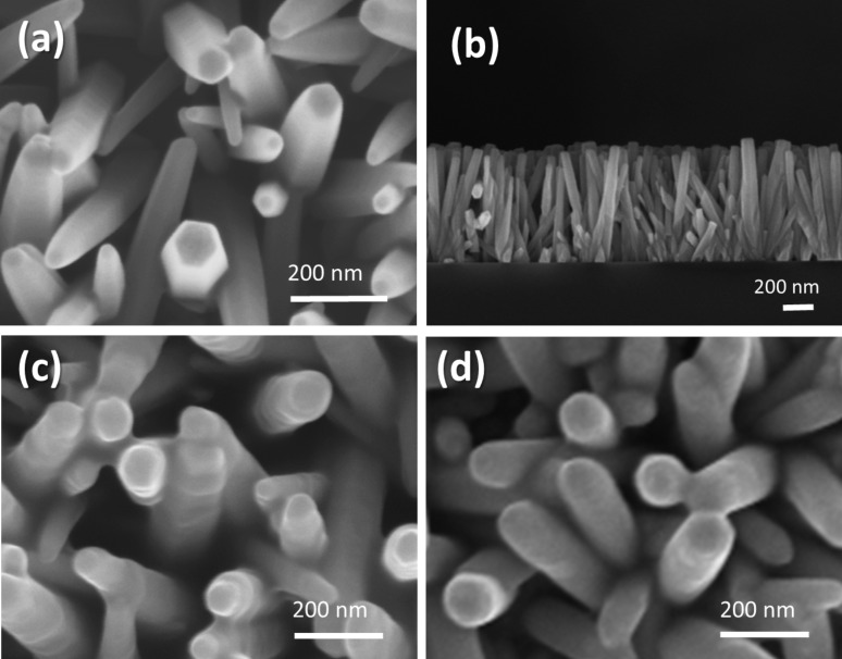 SEM images of ZnO NRs (a) before immersion in dye, (b) cross-section view of ZnO NRs, (c) after immersion in henna dye and (d) after immersion in mallow dye.