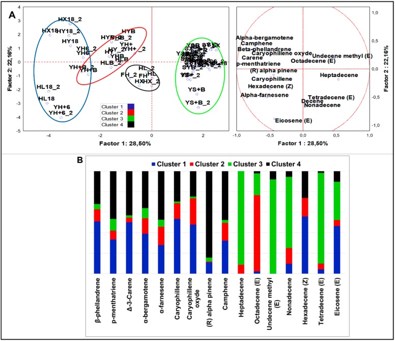 (A) PCA of cases and variables on alkenes (p < 0.05); (B) K-means clustering analysis (at least p < 0.05).