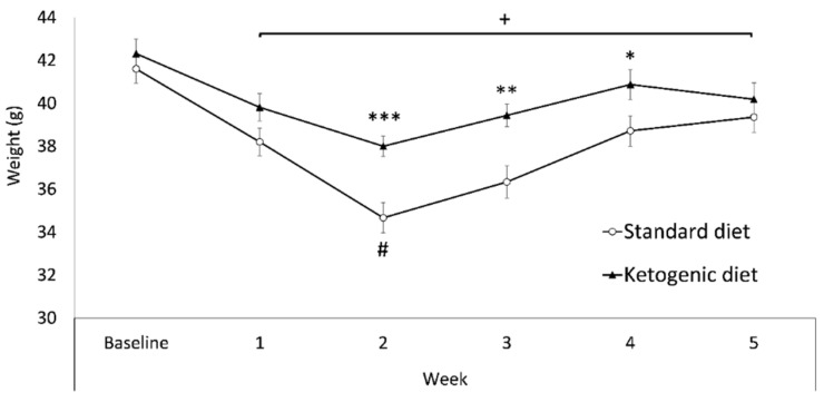 Weekly bodyweight. Data are represented as the mean (±SEM) bodyweight measured weekly. *** p < 0.001; ** p < 0.01; * p < 0.05 significant difference with respect to the SD group. + p < 0.05 significant difference with respect to the baseline. # p < 0.001 significant difference with respect to the rest of the weeks.