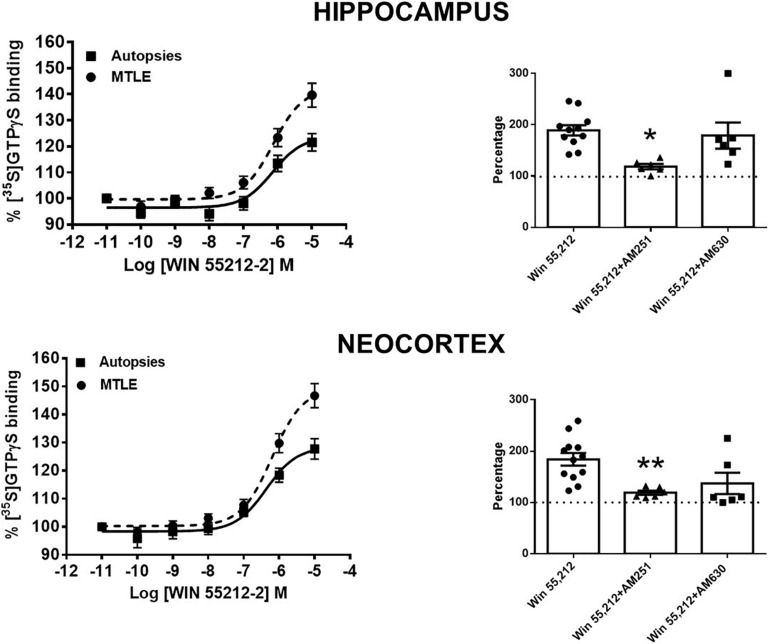 Left side: specific [35S]GTPγS binding to cell membranes obtained from the hippocampus and the temporal neocortex of autopsies and patients with mesial temporal lobe epilepsy (MTLE) as a function of increasing concentrations of WIN 55212-2. Each point represents the mean ± SME of the individual percentage stimulation over the basal values. The absolute basal values from patients with MTLE were similar to those from the autopsy samples. Notice that in patients with MTLE, the [35S]GTPγS binding stimulation by WIN 55212-2 was higher with respect to autopsies. Right side: representation of the maximal stimulation (Emax) values induced by WIN 55212-2 alone and in the presence of an antagonist of CB1Rs (AM251) or CB2Rs (AM630) in the hippocampus and the temporal neocortex of patients with MTLE. Notice that AM251 avoided the augmentation of Emax in both brain areas. Values are expressed as mean ± SE of the individual percentage stimulation over basal values (dotted lines). *p < 0.05; **p < 0.01.