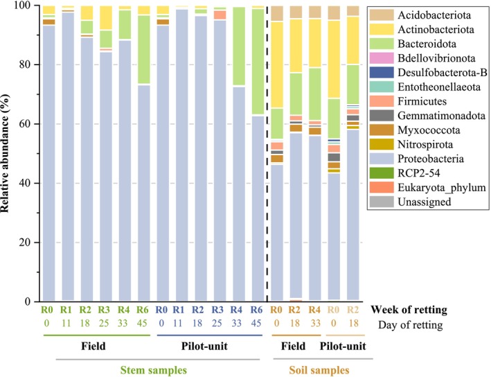 Bacterial relative abundance at phylum level in unretted and retted stem and soil samples in field and pilot unit over the retting period. R0: Unretted samples, R1, R2, R3, R4, and R6 correspond to retted samples after 1, 2, 3, 4, and 6 weeks of retting.