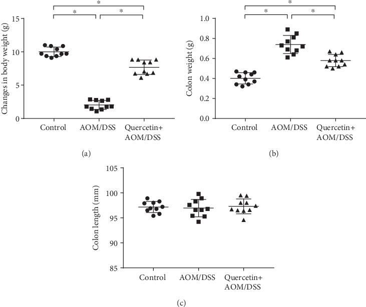 Quercetin restores body and colon weight in AOM/DSS-treated mice. (a) Quantification of body weight of control and experimental mice. (b) Quantification of colon weight of control and experimental mice. (c) Quantification of colon length of control and experimental mice. Data are expressed as mean values ± SD (n = 10/group). ∗P < 0.05, Student's t-test.