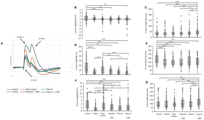 ERG peak amplitude and time to amplitude for a- b- and d-wave.(A) Mean ERG trace showing the photoreceptor a-wave, ON-bipolar cell b-wave, and OFF-bipolar cell d-wave components. (B) a-wave peak amplitude. Pairwise comparison showed significantly larger a-waves in the Glucose + CBD group compared to Control (p = 0.003). (C) Time to peak a-wave ERG response. Pairwise analysis showed a significantly delayed implicit time for the a-wave response between Glucose + CBD and all other treatment groups (Control p < 0.001, Vehicle p < 0.001, Drug Control p = 0.015, Mannitol + CBD p = 0.044, Hyperglycemia p = 0.020). (D) ERG b-wave peak amplitude response. Both Control and Drug Control groups had significantly greater b-wave amplitudes than all other treatment groups (Vehicle, Mannitol + CBD, Hyperglycemia, Glucose + CBD; p ≤ 0.001 for all). Glucose + CBD had a significantly lower b-wave amplitude than Mannitol + CBD (p = 0.046). (E) Time to peak b-wave ERG response. Responses from Control fish had significantly delayed b-wave response times compared to all other treatment groups (Drug Control, Vehicle, Mannitol + CBD, Hyperglycemia, Glucose + CBD; p ≤ 0.001 all). (F) ERG d-wave amplitude. The Control group had a significantly higher d-wave amplitude compared to all other treatment groups except Drug Control (Vehicle, Hyperglycemia, Glucose + CBD; p < 0.001 for all, Mannitol + CBD; p = 0.023). Hyperglycemic fish also had smaller peak amplitudes than the Drug Control (p = 0.013) (G) Time to peak d-wave ERG response. Glucose + CBD had significantly slower times to peak than all other treatment groups (p < 0. 001). Control n = 30, Vehicle n = 24, Drug Control n = 30, Mannitol + CBD n = 24, Hyperglycemia n = 35, Glucose + CBD n = 26. In (B) through (G) box and whisker plots show the distribution of biological replicates. * < 0.05, ** < 0.01, and *** < 0.001.