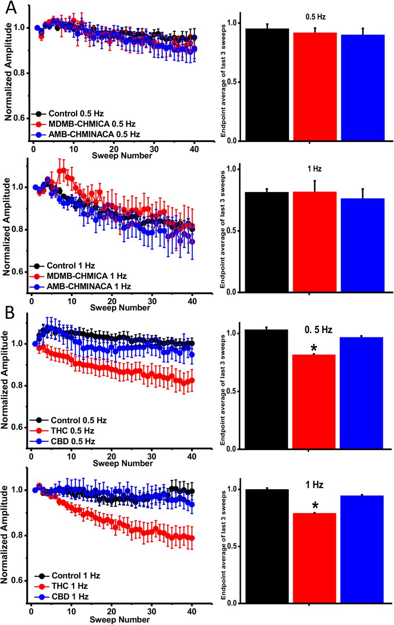 hCav 3.2 Frequency dependent block of MDMB-CHMICA, AMB-CHMINACA, THC and CBD6A. Cells were held at −100 mV and stepped to-30 mV for 2 different frequencies (1 and 0.5 Hz), with inter-sweep holding potential of −100 mV. Peak currents from each sweep were normalized to the average peak current of first three sweeps and plotted against sweep number. Black symbols represent control vehicle without drugs, while red and blue symbols represent experiments in the presence of 1 μM MDMB-CHMICA and AMB-CHMINACA, respectively. Bar graphs represent the relative amplitudes of the average of the last 3 sweeps for each frequency. At 0.5 and 1 Hz (2 and 1 second inter-sweep intervals), neither drug showed significant difference from control. 6B. At 10 μM, THC but not CBD, showed a significant increase in frequency dependent inhibition after 40 sweeps. At 0.5 Hz and 1 Hz, inhibition increased 18.2 ± 0.4 % and 20.8 ± 0.3 % respectively. Statistical analysis was performed using Student t-test with asterisks denoting significance at *p<0.05.