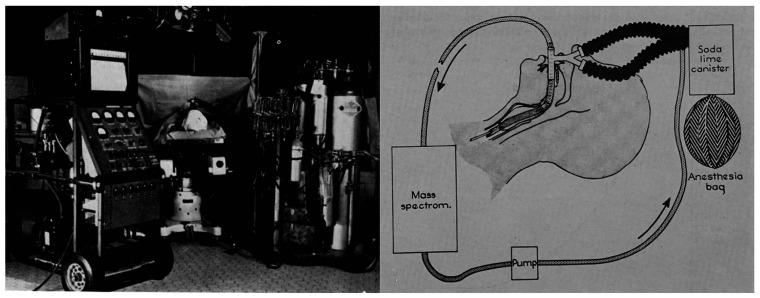 In 1950, Alfred O. Nier developed this portable mass spectrometer for real-time monitoring of exhaled gases from the trachea of patients under anesthesia. The peripherally related legal matter ruled in favor of the U.S. Tax Court that a medical fellow on the project should have reported his fellowship award as taxable income. Reproduced with permission from ref (6). Copyright 1950 American Society of Thoracic Surgery.