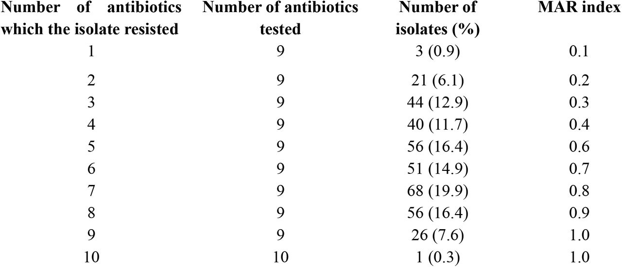 Multidrug resistance and multiple antibiotic resistance index of MRSA isolates at Western Ethiopia, 2021-2025