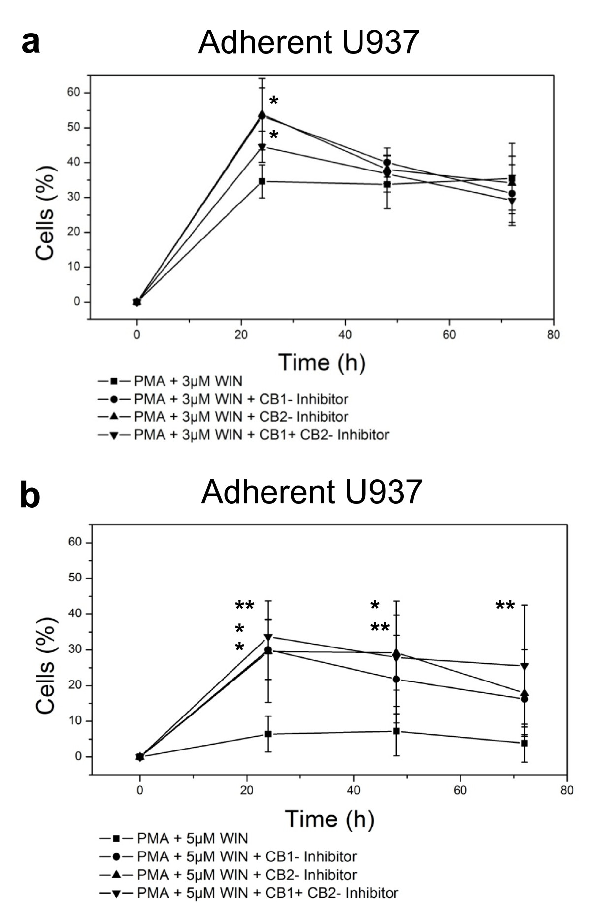 WIN55212-2-mediated inhibition of differentiation of human monocytic U937 cells is CB1- and CB2-receptor-dependent. Differentiation of U937 cells was induced by 25 nM PMA in the presence of 3 μM or 5 μM WIN55212-2 (figure 2a or figure 2b, respectively) with or without co-incubation with 2 μM AM251 (CB1-inhibition) and/or 2 μM AM630 (CB2-inhibition). Adherent cells were separated and quantified after different time points up to 72 h by FACS analysis. Percentage of control group at time point zero is shown. Data are shown as mean +/- SD, n = 8; *p < 0.05, **p < 0.01, ***p < 0.001 in comparison with the PMA/WIN55212-2 -treated group without CB1- or CB2-inhibition.