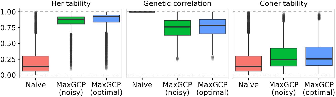MaxGCP amplifies the genetic signal in simulated data.Shown is a comparison across phenotype definitions for 5000 simulated phenotypes. Naive definitions are single-code binary phenotypes with missingness. MaxGCP definitions are fit using either a noisy or noiseless (“optimal”) genetic covariance matrix. Genetic correlation and coheritability are computed relative to the naive definitions.