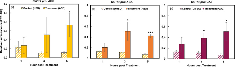Responses of CsPT4 pro to ACC, ABA, and GA. DLR results display the activation of CsPT4 pro over 5 h indicated by relative luminescence, calculated by a ratio of firefly to Renilla LUC. Significant activation seen from ACC (a), ABA (b), and GA3 (c). *indicates p ≤ 0.05. ***indicates p ≤ 0.001 (n = 3).