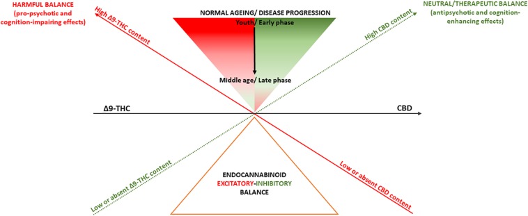 Summary of the effects of Δ9-THC and CBD on psychosis and cognition. A deliberately simplistic interpretation of findings presented here is that cannabis-derived cannabinoids Δ9-THC and CBD, through their almost opposite partial agonist/agonist and antagonist/inverse agonist activity, might respectively, induce or blunt endocannabinoid system hyperactivity, resulting in pro-psychotic or antipsychotic effects as well as cognition-impairing or cognition-enhancing effects. However, despite producing opposite actions on the endocannabinoid system, Δ9-THC and CBD may exhibit even similar effects as activating or inhibiting the endocannabinoid system may produce both symptom amelioration and worsening depending on aging as well as different phases of psychosis or cognitive deterioration.