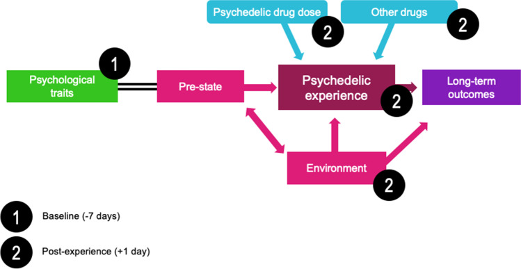 Timepoints of the conducted online surveys in relation to when the psychedelic experience took place. First set of surveys was filled at Timepoint 1 (baseline) which took place 7 days before taking the psychedelic, while the second set of questionnaires was filled at Timepoint 2 (post-experience), one day after the psychedelic experience. ‘Extra-pharmacological’ factors can change the course and effects of the psychedelic experience. Psychological traits refer to specific personality traits that can predispose an individual to a certain type of experience; for example, trait ‘absorption’ promotes intensity of the psychedelic experience (Studerus et al. 2012; Haijen et al. 2018) Polygenic contributions to personality seem likely but are not yet reliably defined. However, some interesting and relevant candidates have been identified (Ott 2007). Pre-state can also be described as ‘set;’ it indicates the pre-experience mindset like level of anxiety, expectations and intentions; it describes the readiness to ‘surrender’ to the effects of the drug (Russ and Elliott 2017). Psychedelic experience describes the features of the acute psychedelic experience; these can be measured through subjective rating scales (Haijen et al. 2018; Roseman et al. 2018) or brain imaging (Carhart-Harris et al. 2016; Madsen et al. 2019). Environment can also be described as setting; it refers to the physical surrounding and various environmental influences. Dose relates to the drug dosage, which can be crucial in defining the course of the experience (Griffiths et al. 2011; Studerus et al. 2012). Other drugs refer to drugs taken simultaneously with the psychedelic and alter the subjective experience. This variable is a key focus of this study. Long-term outcomes can relate to a number of variables, such as symptom severity of a psychiatric condition or changes in personality traits. Adapted from: Carhart-Harris et al. (2018a, b)