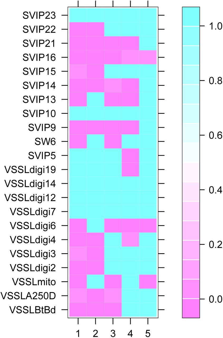 Locus specific deviation from HWE for each inferred clusters. Heat map indicated P-value of test with pink boxes indication significant deviation from HWE.