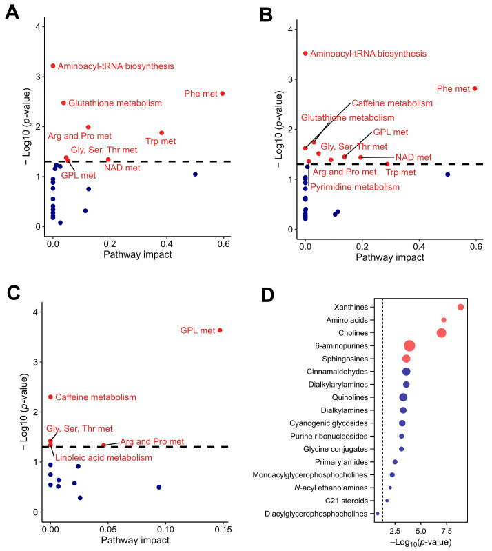 Pathway analysis of the rat plasma metabolome in response to CSE supplementation, including the metabolic pathways with significant impact at the basal time point (A), the metabolic pathways with significant impact at day 7 of CSE supplementation (B), the rat plasma pathways showing significant fold changes during the supplementation period (C), and a dot plot of the subclasses of chemical structures showing significant enrichment ratios (D). Red dots indicate pathways with significant differences, with p-values adjusted by false discovery rate (FDR), while blue dots indicate pathways without significant differences. Gly, Ser, Thr met: glycine, serine, and threonine metabolism; Phe met: phenylalanine metabolism; NAD met: nicotinate and nicotinamide metabolism; Arg and Pro met: arginine and proline metabolism; Trp met: tryptophan metabolism; GLP met: glycerphospholipid metabolism.