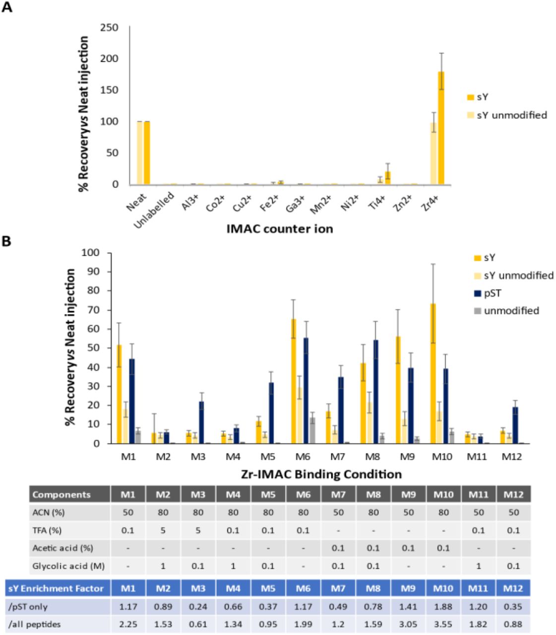 Development of an IMAC based enrichment protocol for sY-peptides.A) Efficiency of recovery of the panel of sY- and unmodified peptides was evaluated for 10 IMAC counterions as indicated. Recovery was determined by normalising to an equal injection of ‘unenriched’ input material subjected to C18 reversed phase clean up. Recovery of the 8 sY- and 9 unmodified peptides is an average (mean +/-S.D.) of all equivalent (non-)modified peptides, including methionine oxidised variants which we have previously shown has little effect on relative signal intensity1. B) Optimisation of Zr4+ recovery of sY-peptides. A mixture of trypsin digested BSA, casein-αS1/αS2/β and the sY-peptide panel were subjected to enrichment with Zr4+ IMAC using different loading solutions as indicated. All samples were subjected to C18 clean-up prior to LC-MS/MS analysis. Recovery (mean +/-S.D.) was determined for 8 sY-, 9 unmodified synthetic peptides, as well as 9 pST peptides from casein, and 19 unmodified peptides from BSA and casein.