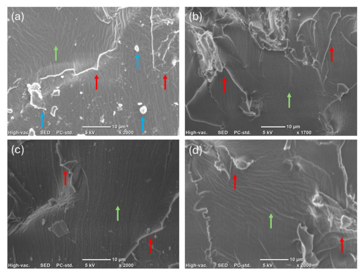 SEM micrographs for (a) CO3SH-P, (b) CO3SH-H10, (c) CO3SH-T10, and (d) CO3SH-W10.