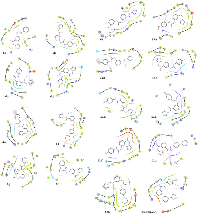 Binding interactions of N,N′‐diarylureas 6a–i, 11a–h and inhibitor PSNCBAM‐1 with the allosteric site of the CB1 receptor in complex with the agonist AM841.