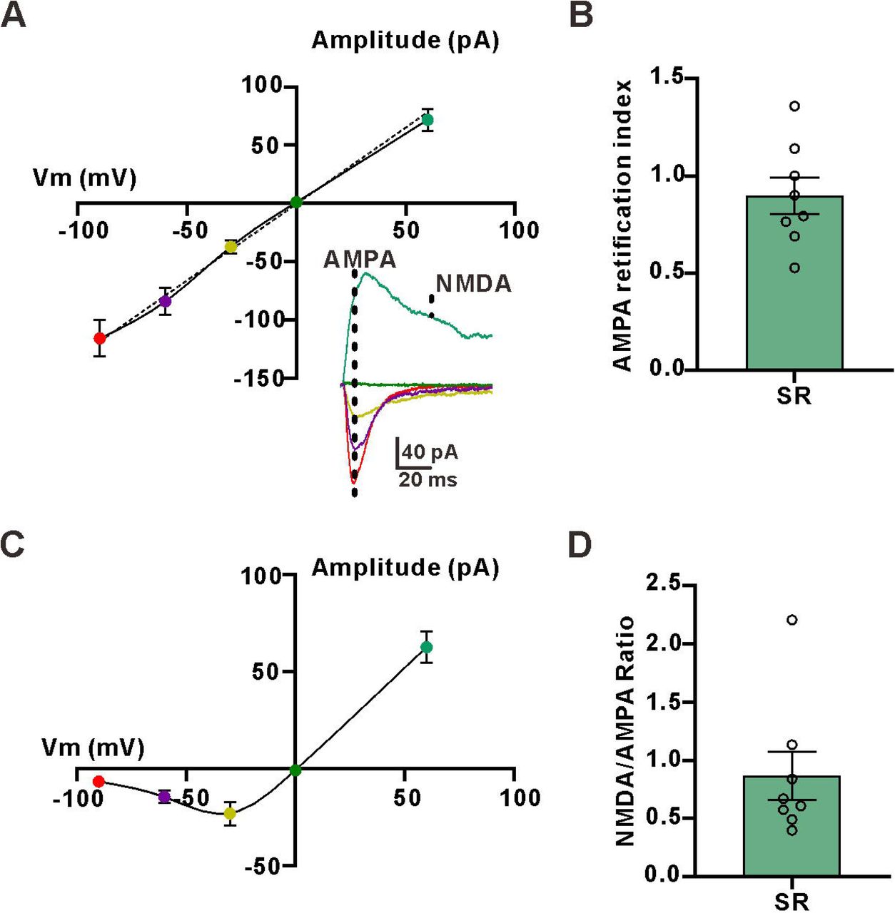 Activation of astrocytic CB1 receptors causes an increase in astrocytic Ca2+ signals and is involved in the induction of LTPE→I.(A) Representative images of a GCaMP6f+ astrocyte before (left) and after (right) theta burst stimulation (TBS).(B) Kymographs and △F/F traces of cells with Ca2+ signals evoked by the activation of Schaffer collateral with TBS in GCaMP6f+ astrocytes.(C) Representative images of a GCaMP6f+ astrocyte before (left) and after (right) theta burst stimulation (TBS) in the presence of the CB1 receptor blocker AM251(2 μM).(D) Kymographs and △F/F traces of cells with Ca2+ signals evoked by the activation of Schaffer collateral with TBS in GCaMP6f+ astrocytes in the presence of the CB1 receptor blocker AM251.(E) Kymographs and △F/F traces of cells with Ca2+ signals evoked by the activation of Schaffer collateral with a TBS in GCaMP6f+ astrocytes in the presence of the α1-adrenoceptor blocker terazosin.(F) Summary plots for experiments in (B)-(E) illustrating that Ca2+ signals elicited by TBS are mediated by the activation of CB1 receptors (Control pre: 0.3275±0.1083 △ F/F, Control post: 1.313±0.2483 △F/F, n=45 ROI from 20 cells of 5 mice; z= 3.369, p<0.001, Wilcoxon Signed Rank Test; AM251 pre: 0.3541±0.07219 △F/F, AM251 post: 0.3418±0.07240 △ F/F, n=28 ROI from 13 cells from 5 mice; z= -0,797, p=0.432, Wilcoxon Signed Rank Test; Terazosin pre: 0.5725±0.1749 △ F/F, Terazosin post: 1.73±0.4661 △F/F, n=25 ROI from 11 cells from 4 mice; z=3.215, p=0.001, Wilcoxon Signed Rank Test).(G) Upon: superimposed representative averaged EPSPs recorded 10 min before (dark traces) and 35-45 min after (red traces) LTP induction; below: superimposed representative averaged EPSPs recorded 10 min before (dark traces) and 35-45 min after (red traces) LTP induction in the presence of the CB1 receptor antagonist AM251.(H) Normalized slope before and after the TBS stimulation protocol in control conditions and in the presence of the CB1 receptor antagonist AM251.(I) The summary data measured 35-45 min after LTP induction (Control: 180.2±13.76, n=12 slices from 5 mice; AM251: 118.9±7.406, n=10 slices from 4 mice; t=3.697 with 20 degrees of freedom, p=0.0014, two-tailed unpaired t-test; Control: 169.3±16.89, n=12 slices from 6 mice; AM251+D-serine: 177.4±14.27, n=10 slices from 5 mice; t=0.3561 with 20 degrees of freedom, p=0.7255, two-tailed unpaired t-test).